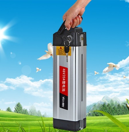 48V20AH Lithium Battery for Convenience 